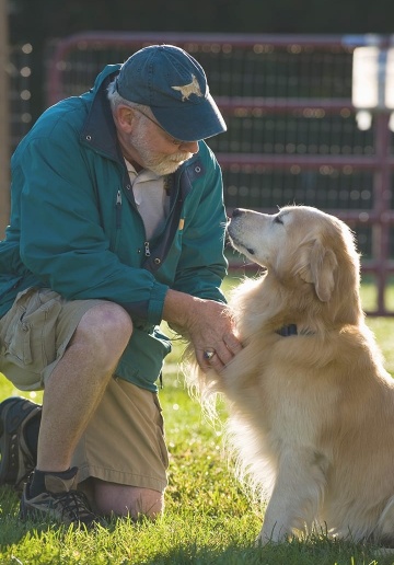 An elderly man kneeling and petting a golden retriever.